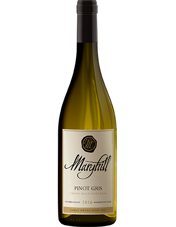 2022 Pinot Gris - Case Special