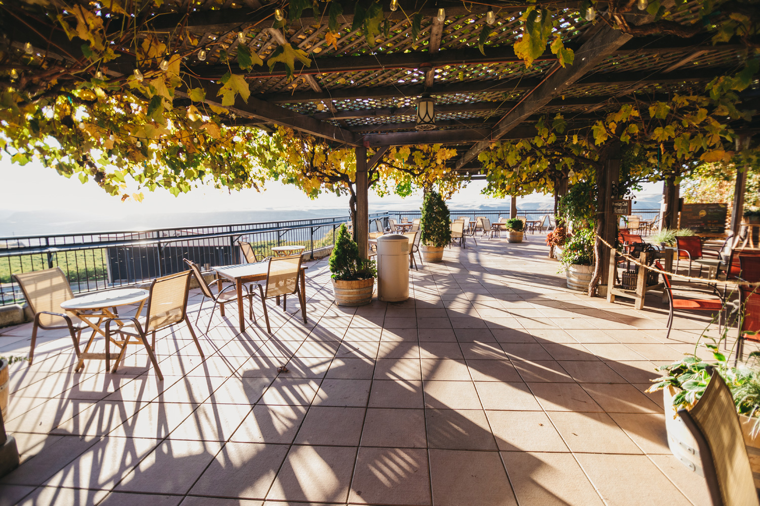 Terrace1_web