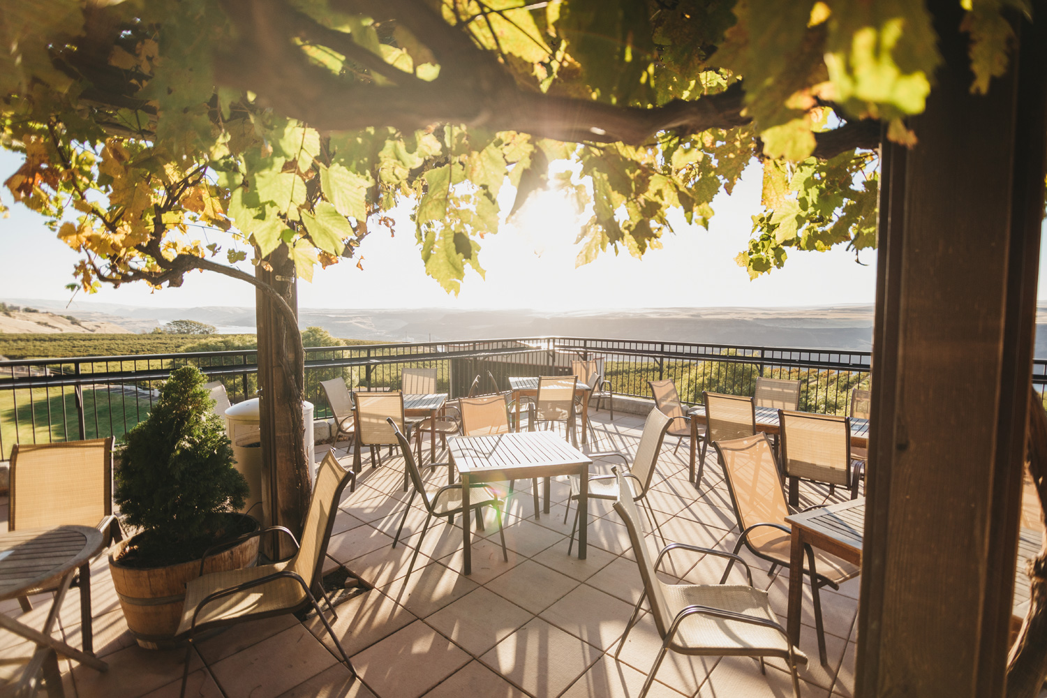 Terrace2_web