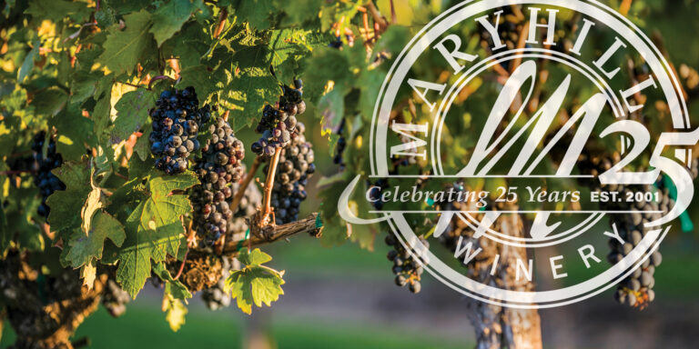 European Grapes, Washington Grapes, Washington Wine, Wine Grapes